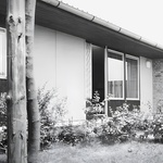 Dům pod topoly ukazuje slovinský model bydlení, které mohlo konkurovat panelákům. Zdroj: OFIS