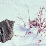 Architekt tu ale ukázal, že k proměně a růstu není třeba dramaticky zvyšovat zastavěný objem. Vystačil si s chytrou úpravou toho, co tu už existovalo. Kontext zůstává stejný, ale posun ke kvalitě sezónního obývání je zřejmý. Foto: Marcello Mariana fotografia