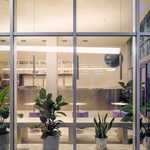 Vítězové PULSE AWARDS – Kategorie Interiérový design, Public Mimoza gelato. Foto: Pulse archi a agentura Hero & Outlaw