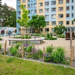 Proměna sídliště v Praze 12. Adapterra Awards 2025 – finalisté. Zdroj: Nadace Partnerství (Vojta Herout)