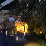 Londýnský Winter Lights Festival na Canary Wharf, foto E. Kopačková Londýnský Winter Lights Festival na Canary Wharf, foto E. Kopačková