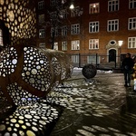 Rusty Flowers. Zdroj: Copenhagen Light Festival 2026