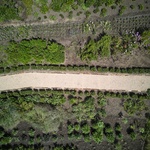 Letecký pohled. Foto: Radek Úlehla