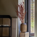 Bydlení pro muže, který sázel stromy. Polský lesní dům korunuje čtvrtstoletí krásné práce Bydlení pro muže, který sázel stromy. Polský lesní dům korunuje čtvrtstoletí krásné práce