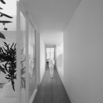 Splněný sen po více než sto letech. Mezi parkem a městem vyrostlo nové bydlení. Foto: Simon Menges