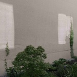 Splněný sen po více než sto letech. Mezi parkem a městem vyrostlo nové bydlení. Foto: Simon Menges