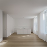 Splněný sen po více než sto letech. Mezi parkem a městem vyrostlo nové bydlení. Foto: Simon Menges