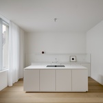 Splněný sen po více než sto letech. Mezi parkem a městem vyrostlo nové bydlení. Foto: Simon Menges