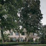 Splněný sen po více než sto letech. Mezi parkem a městem vyrostlo nové bydlení. Foto: Simon Menges