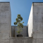 Život v kostce. Casa Rocha se vymyká konvencím. Je to špatně? Foto: Ivo Tavares Studio