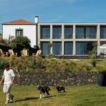 Život v kostce. Casa Rocha se vymyká konvencím. Je to špatně? Foto: Ivo Tavares Studio