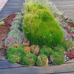 Jaro na zahradě: Jak vybrat čerpadlo, které vám usnadní zalévání. Foto: redakce