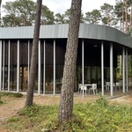 Zahrádka v lese. Foto: Josef Matyska