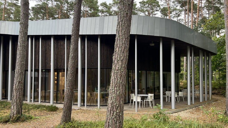 Zahrádka v&nbsp;lese. Foto: Josef Matyska