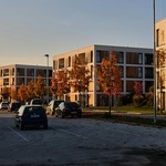 Zdroj: Pexels – Martin