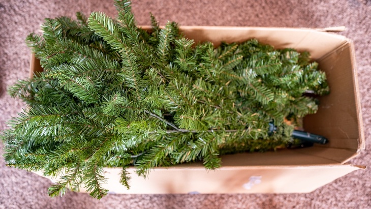 Zdroj obrázku: Lost_in_the_Midwest / stock.adobe.com