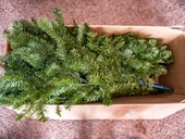 Zdroj obrázku: Lost_in_the_Midwest / stock.adobe.com