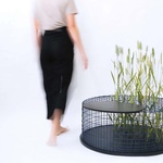 mischertraxler_limited-grasses_with-tray, zdroj Profil Media