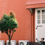Zdroj: pexels.com Zdroj: pexels.com