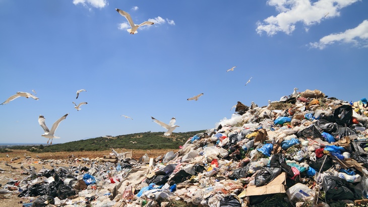 Z čeho se skládá domovní odpad?