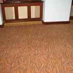 Koberce mají širokou škálu vzorů a barev. Koberce lze využít jako podlahovou krytinu i obložení na schodů.