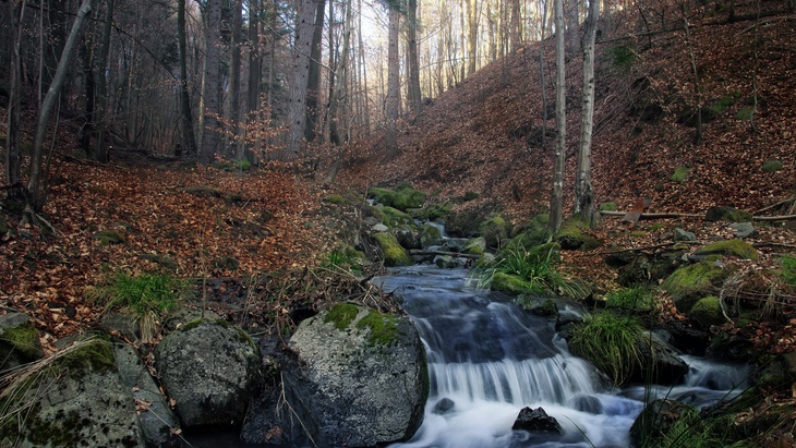 Lesy ČR zvýší investice do vodních staveb o 66 pct na 200 mil. Kč