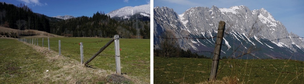 Rezavý ostnatý drát na rakouských pastvinách svou patinou paradoxně „prorostl“ do rázu horské krajiny