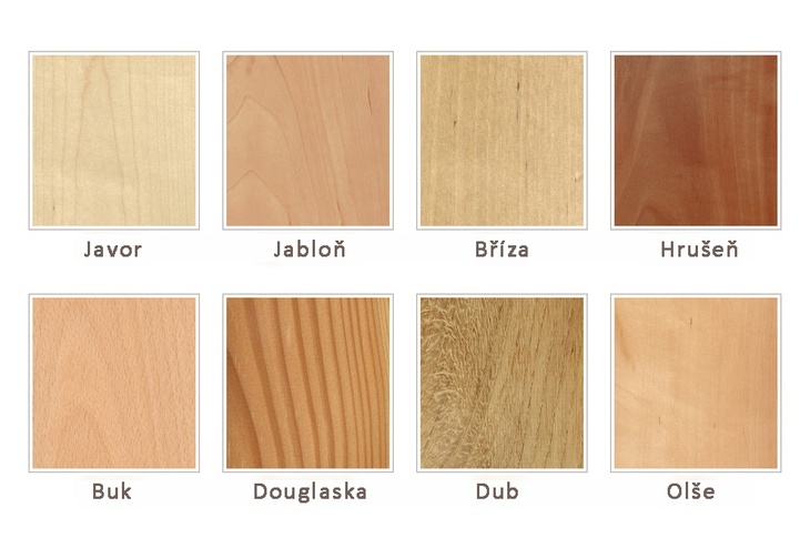 Porovnání kreseb různých dřevin.
