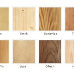 Porovnání kreseb různých dřevin. Zdroj: Fotolia.com - sunnychicka - Porovnání kreseb různých dřevin.
