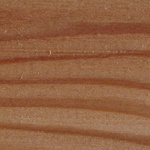 Obr. 1b Výraznější zbarvení jádrového dřeva modřínu (A versus B) (ale i jiných jádrových dřevin) je indikátorem vyššího obsahu extraktivních  látek a tím i vyšší přirozené odolnosti vůči poškození dřevokaznými houbami (Foto Pánek).