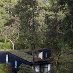 Dům vklíněný mezi stromy má tři větve s ojedinělými výhledy Foto:  Sandra Pereznieto