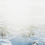 Turistická útulna za polárním kruhem poskytuje jedinečný výhled  Foto: Artem Lasovsky, Ivan Ovchinnikov, Galina Latushko 