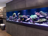 Moderní akvárium je designovou součástí interiéru