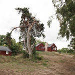 Dřevostavba stará 115 let stojící v chráněném území je jako nová Foto: Laura Stamer