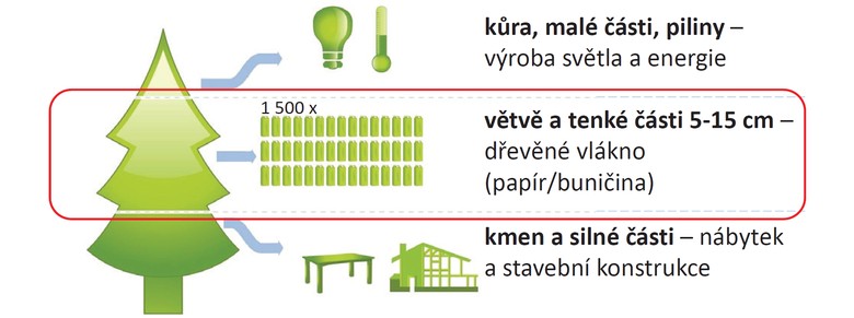 Z jednoho průměrného stromu je možno získat papírového vlákna (buničiny) pro cca 1500 ks nápojových kartonů o objemu 1l.