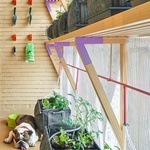 Malý byt pro psa a pána. Příjemné klima zajišťuje vegetace, výhled z okna zrcadla Foto: José Hevia