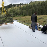Ecosedum: dokonalé řešení zelené střechy