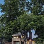 Domu na malé parcele dominuje komín a stromy. Dřevo je na fasádě i na stropě  Foto: Charles Davis Smith, FAIA