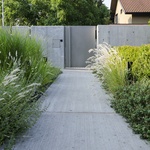 Používejte traviny, krásně se doplňují s moderní architekturou, s betonem i sklem Foto: Atelier Flera
