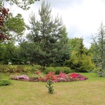 Zahrada historické rodinné vily s vlastním arboretem Foto: manželé Brdičkovi 