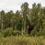 Dřevostavba skytá v lesích. Hotýlek nominovaný na Evropskou cenu za architekturu Foto: Tõnu Tunnel, Priidu Saar