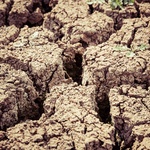 Erozivní proces degradace půdy Zdroj: pexels.com