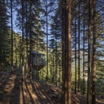 Domek na stromě, jaký jste si vždy přáli. Má úžasný výhled. Jeho nosná konstrukce zaroste do stromu Zdroj:  Sindre Ellingsen
