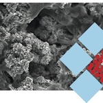 Struktura nano nátěru FN NANO® pod elektronovým mikroskopem a znázornění krystalků vytlačených pojivem na povrch. 