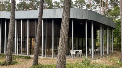 Architektura klidu mezi borovicemi